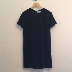 Aritzia Babaton Patricio Dress